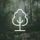 1 Tree Planted via THG (More Trees)